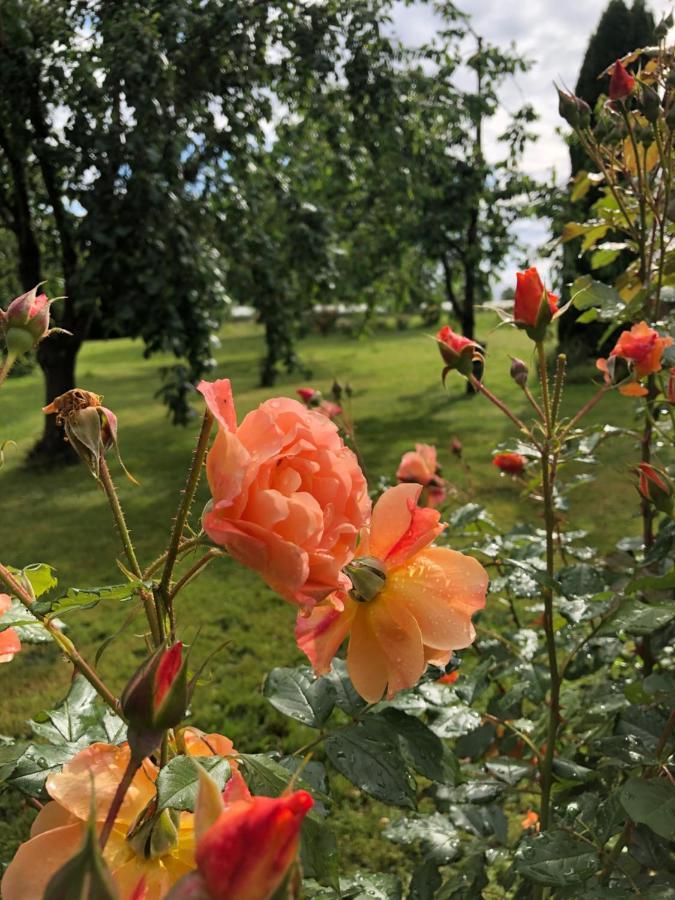 Wohlfuehlhotel Sonnengarten Uberlingen Bagian luar foto